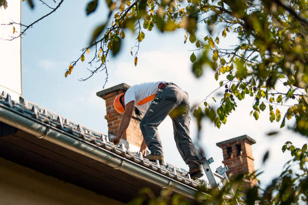 Best Roof Leak Repair  in Daly City, CA