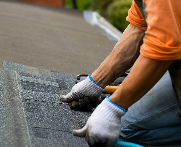 Best Local Roofing Companies  in Daly City, CA